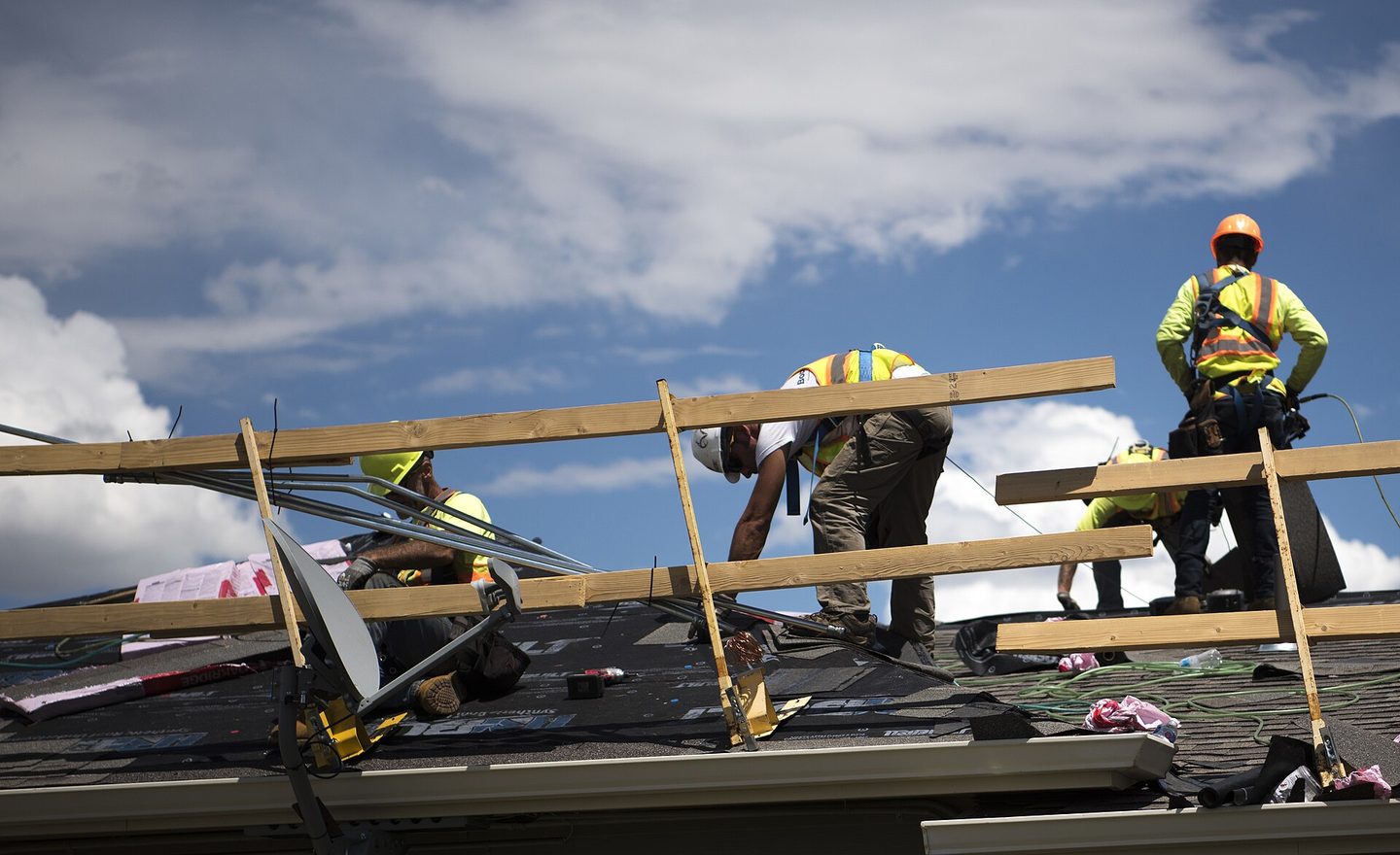 Roofers in safety harnesses installing shingles on a residential roof