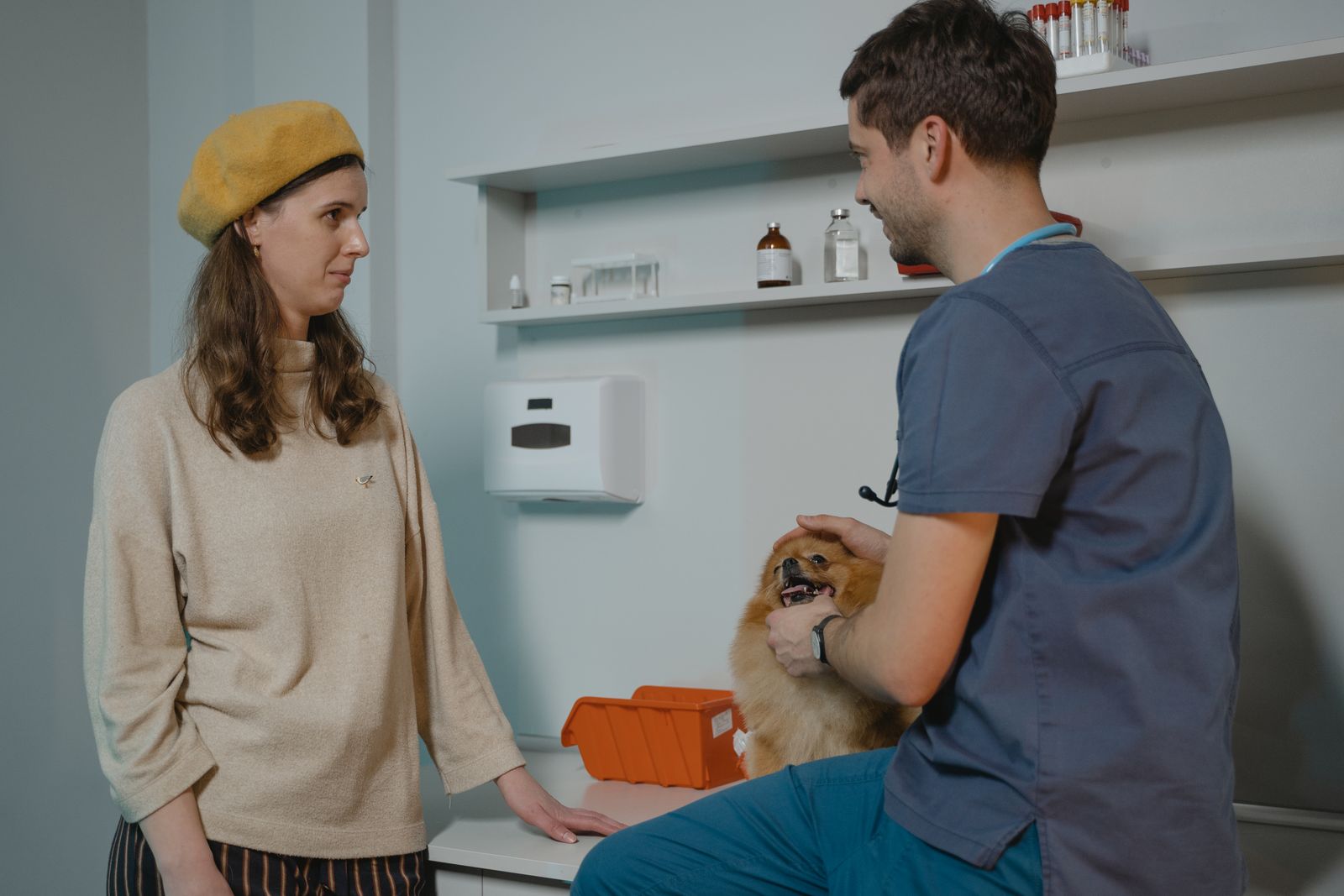 Reference image of a veterinary consultation