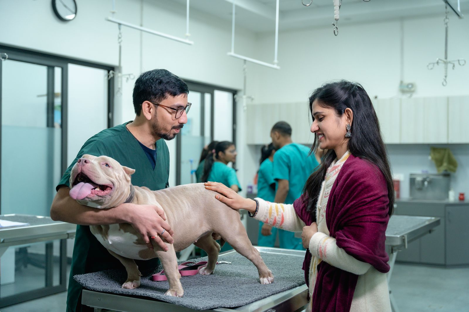 A pet owner present beside a dog during a veterinary consultation